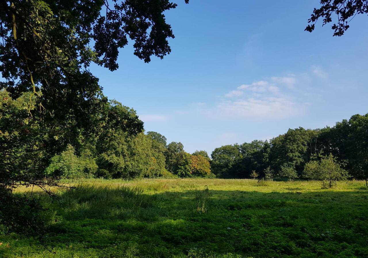 Wohlfuehloase Am Bad Zwischenahner Meer Kültér fotó